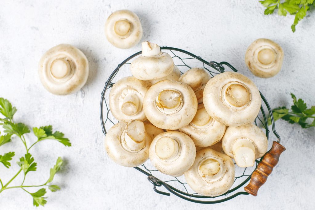 Organic Oyster Mushrooms vs Regular Mushrooms: What’s the Difference?