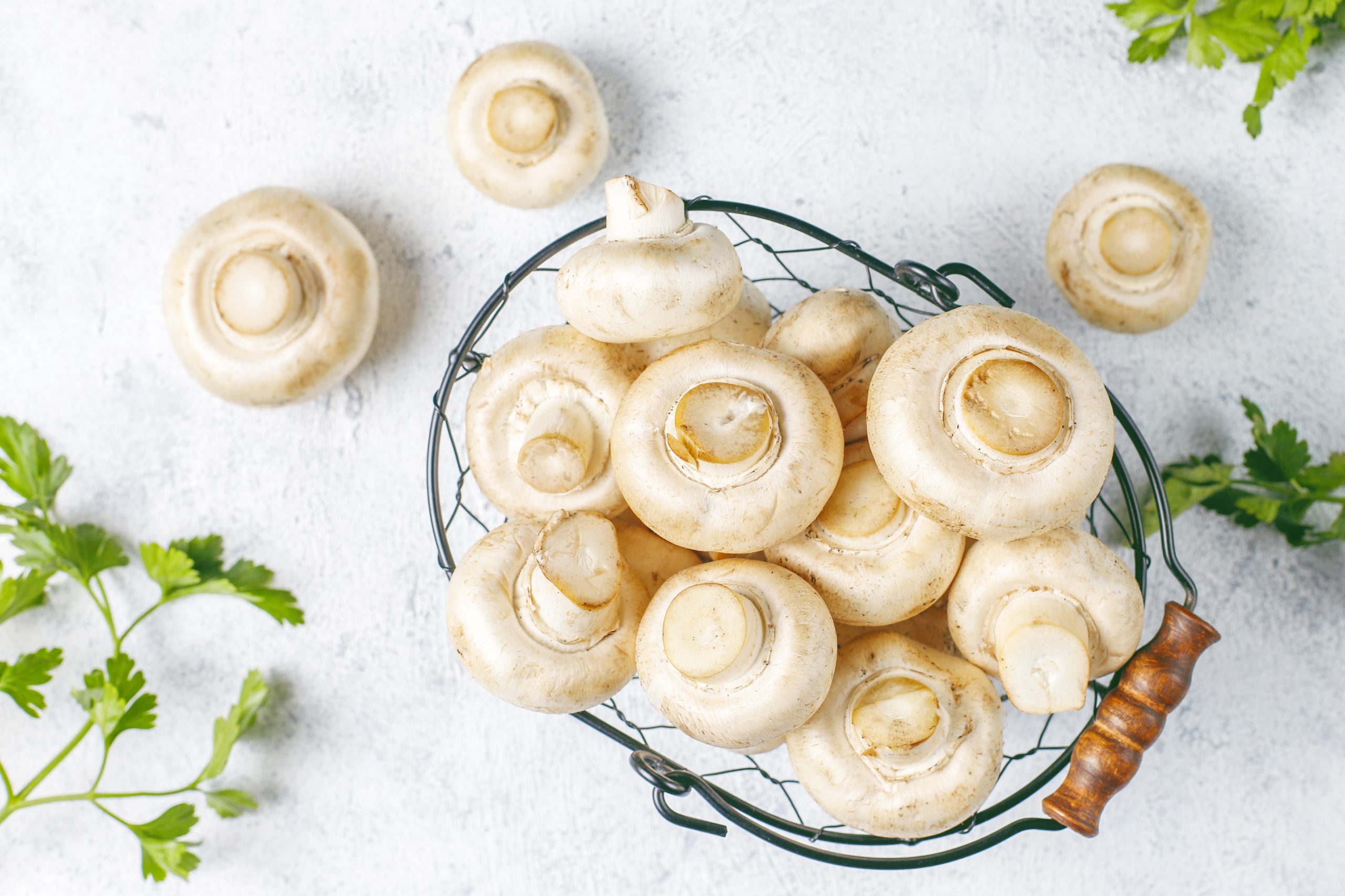 Fresh organic mushrooms from a local farm