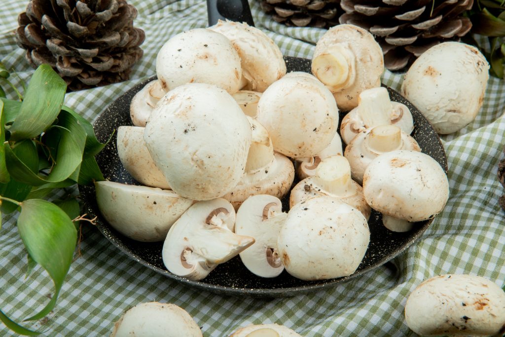Local mushroom growers harvesting fresh organic mushrooms