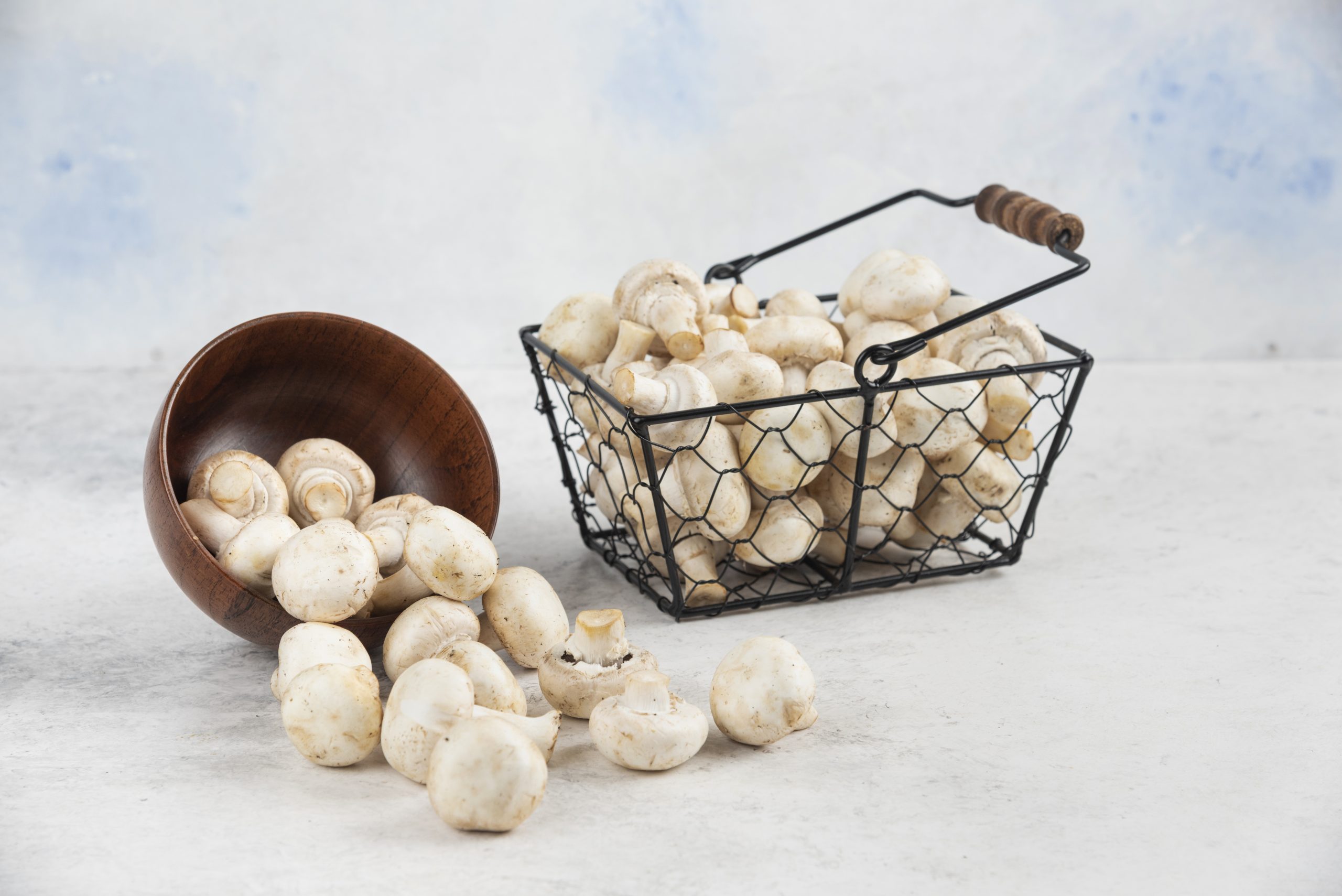 Fresh farm-to-table mushrooms harvested locally for organic and sustainable food