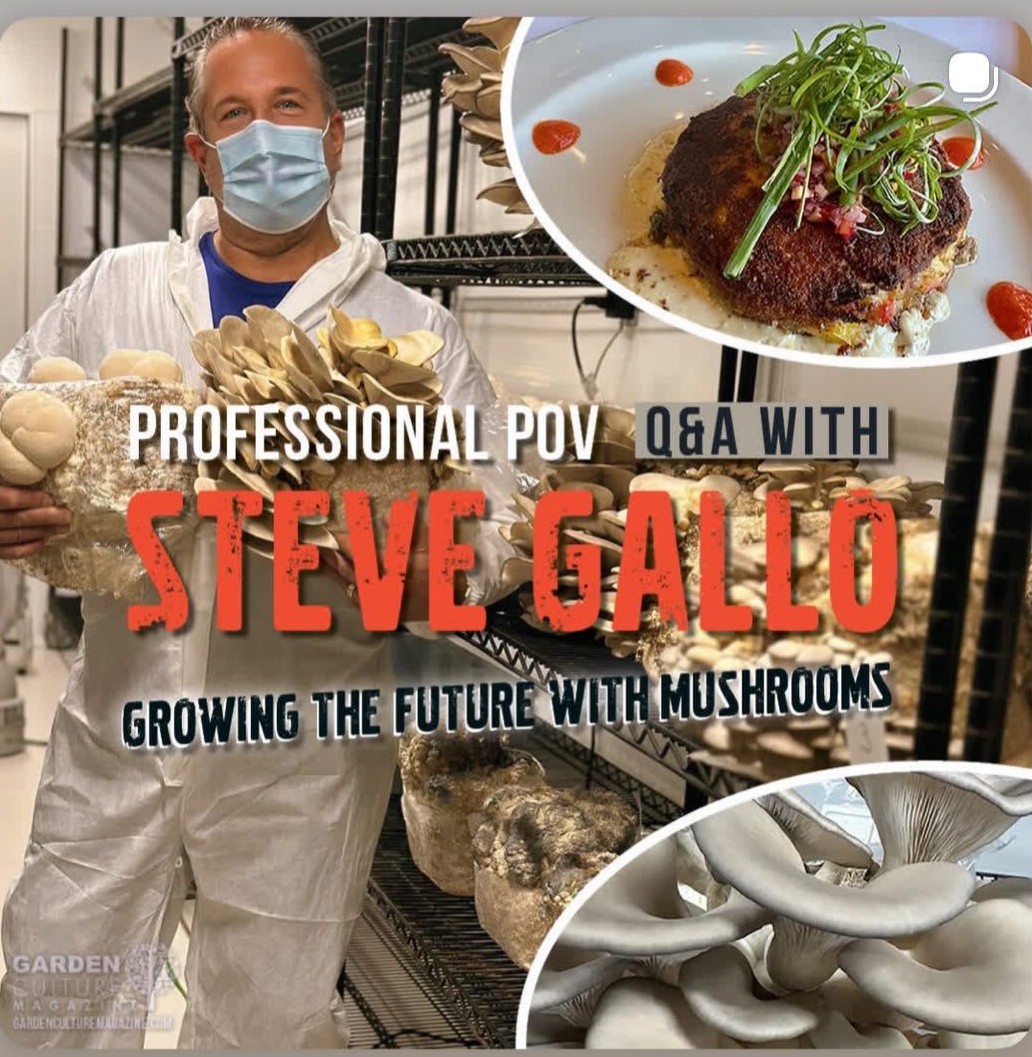 Professional mushroom farming and gourmet mushroom dish from Garden Culture Magazine interview