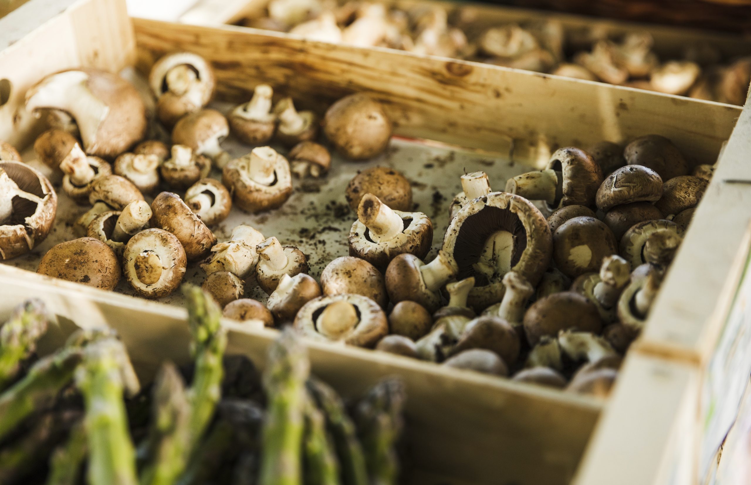 Fresh farm-to-table mushrooms in wooden tray from local mushroom growers at farmers market