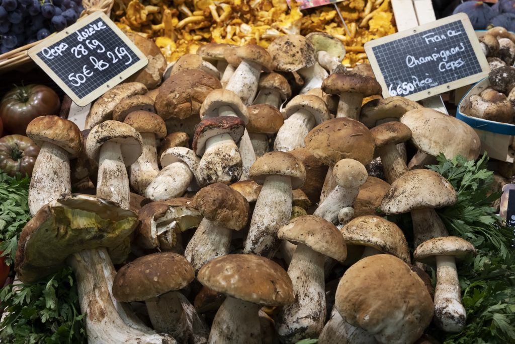 Fresh farm-to-table mushrooms from local mushroom growers at organic market display