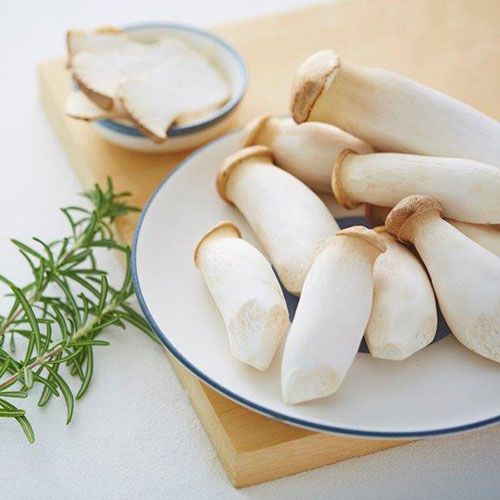Artisan mushroom products made from fresh organic gourmet mushrooms